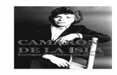 RECORDANDO A CAMARÓN DE LA ISLA- Enrique F. Widmann-Miguel