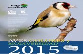 Calendario 2015 aaff