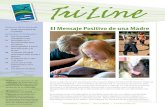 TriLine Newsletter - Winter 2008 - Spanish