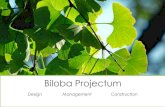 Biloba  Projectum 2015