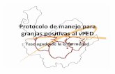 Protocolo de manejo para granjas positivas a pedv