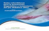 Guias Colombianas para la Prevención, Diagnóstico y Tratamiento del pie diabético