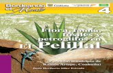 4. Flora, fauna, fósiles y petroglifos en El Pelillal de Jesús Heriberto Siller Estrada