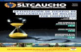 Revista SLTCaucho - Edición N°6