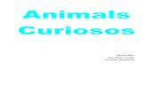 Animales curiosos amc 1 (1)