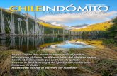 Chile Indómito - Número 17 - Marzo 2015