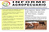 Informe Agropecuario 230315