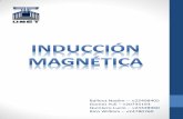 Fisica II Inducción Magnética