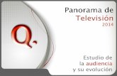 Panorama tv 2014