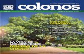 Revista Colonos Campo de Polo Chapalita