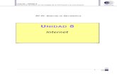 Unidad8 Internet