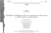 Pueblos indígenas de la amazonía Peruana
