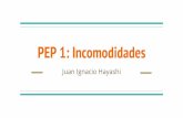 PEP 1- Incomodidades