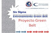 08 W1 Green Belt Project Sp.Six sigma Measure