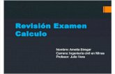 Revision Examen 1 Calculo