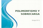 Polimorfismo y sobrecarga.pptx