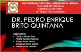 Dr Pedro Brito