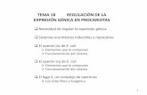 Tema 18 Regulación de La Expresión Génica en Procariotas(4)