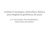Unidad II Geología y Petrofísica Básica Para Registros