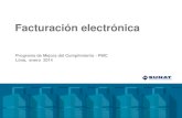 Material Factura Electrónica