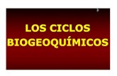 Ciclos Biogequimicos 2015-2