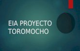 EIA Proyecto Toromocho