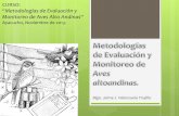 Metodologías de Evaluación y Monitoreo de Aves Altoandinas - Ayacucho 2013