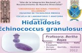 18.- Hidatidosis
