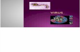 1.Virus Clasificación y Estructura