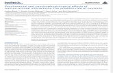 Beetz Et Al 2012 (Oxcitocina e Interacciones H-A)