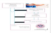 Proceso de Atencion de Enfermermeria MEDICINA B VARONES1 - Copia