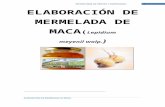 ELABORACIÓN DE MERMELADA DE MACA.doc