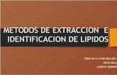 Metodos de Extraccion e Identificacion de Lipidos