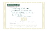 Concepcion Justicia Social Mexico