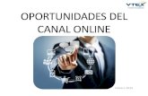 Oportunidades Del Canal Online