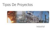 Proyecto Industria l