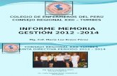 Informe Memoria Exposición -2012-2014