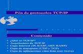 Tema 1 - Pila de Protocolos TCP-IP