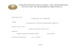 Monografia de Constitucion y Derecho Empresarial
