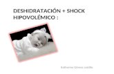DESHIDRATACIÓN + SHOCK HIPOVOLÉMICO
