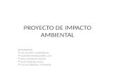 Proyecto de Impacto Ambiental (1)