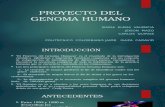 Proyecto Genoma Humano Definitivo