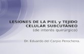 Lesiones de La Piel y Tejido Celular Subcutã-neo[2]