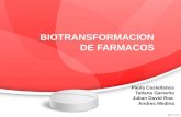 Seminario 3 Farmacologia (Biotransformación)