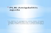 PLM Amigdalitis Aguda