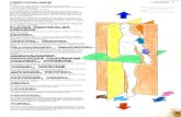 Anatomía Cromodinamica Parte 1