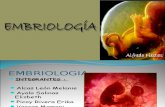 1ra semana embriologia.ppt