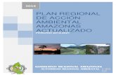 Plan de Accion Ambiental Amazonas (1)