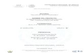 ELABORACION Y COMERCIALIZACION DE CONCENTRADO DE NONI.docx