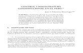 control de la magistratura constitucional.desbloqueado.pdf